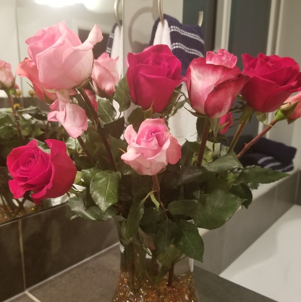 Meet your Posher, Eden